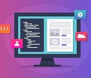 custome website development service in vadodara